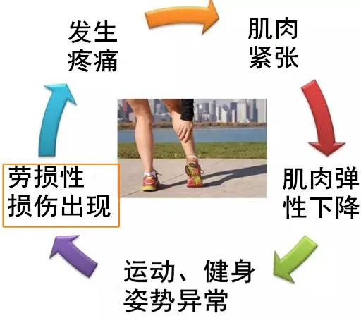 哪里能找到专业的篮球训练与发展计划_2