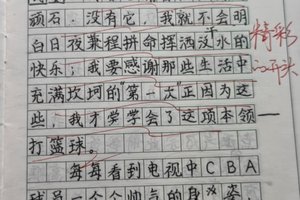 在双休日里训练篮球作文600字