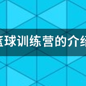 篮球训练营基础班上课内容怎么写